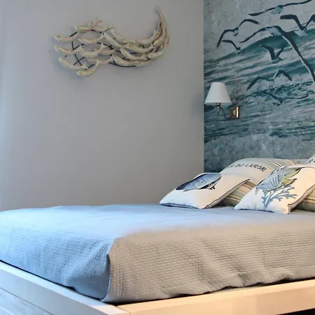 海洋回声旅馆 招待所 4*