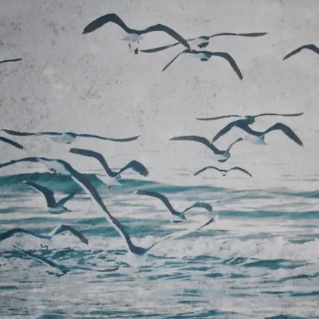 海洋回声旅馆 招待所 斯培西亚